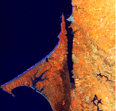 Satellite image of Tomales Bay, CA